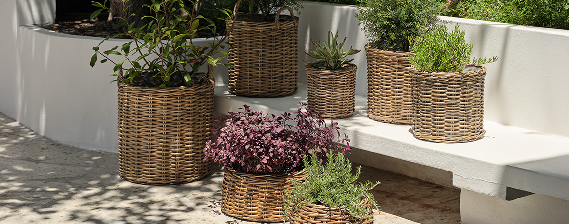 Aydınlık bir bahçede rattandan yapılmış bahçe saksıları ve çiçeklikler.