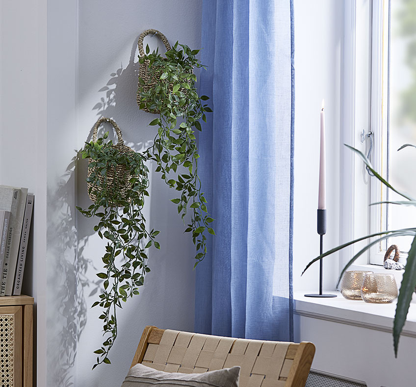Oturma odasının duvarında asılı iki yapay bitki sepeti