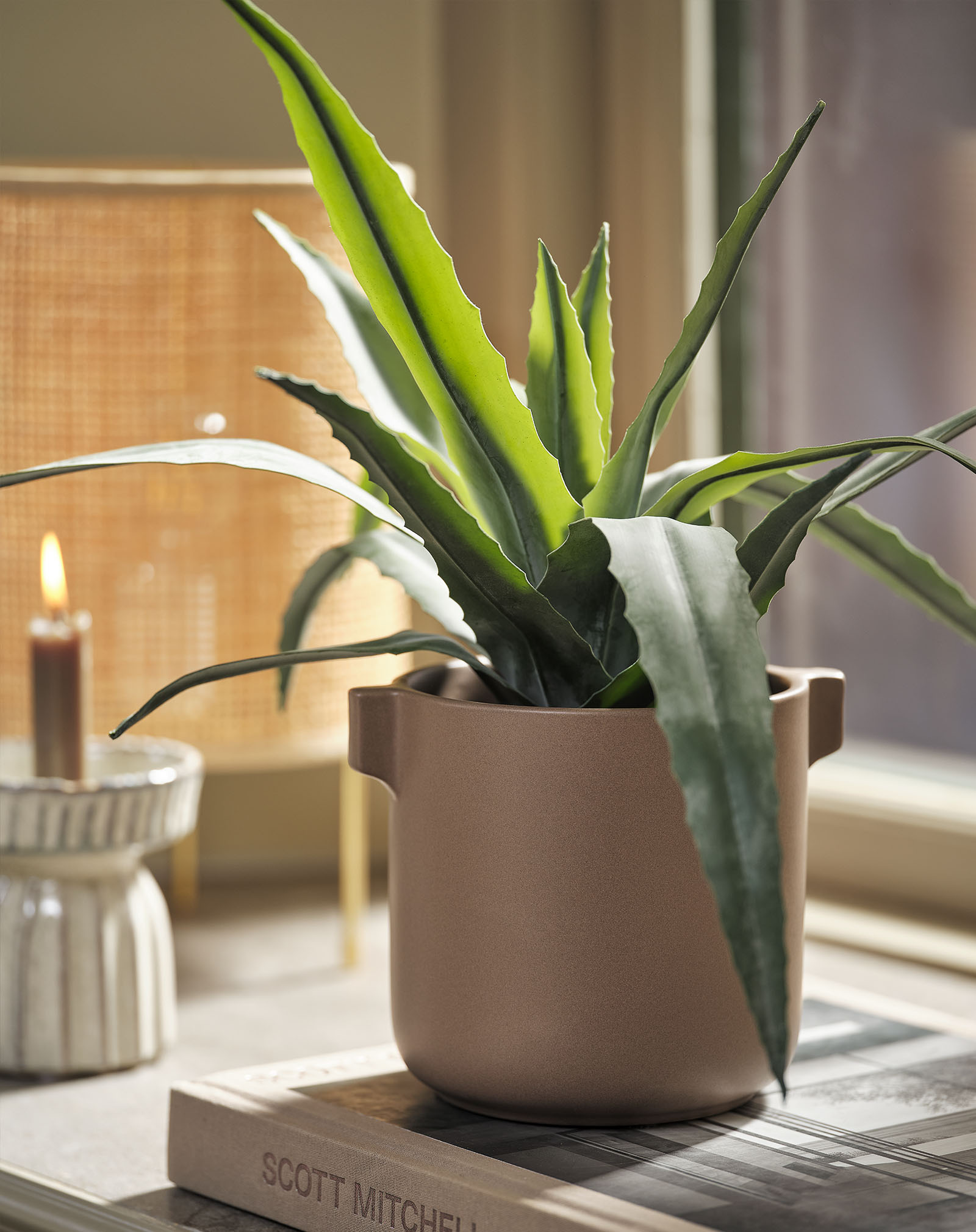 Derin yeşil saksıda aloe vera yapay bitki